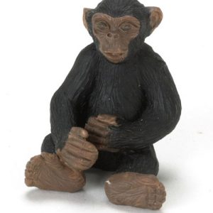 CHIMPANZEE