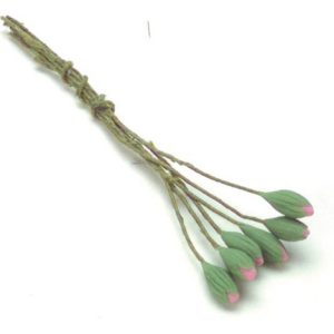 PINK WATER LILY/6 BUDS