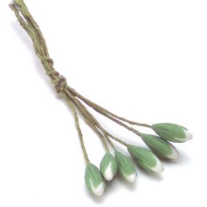 WHITE WATER LILY/6 BUDS