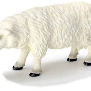 FEMALE SHEEP