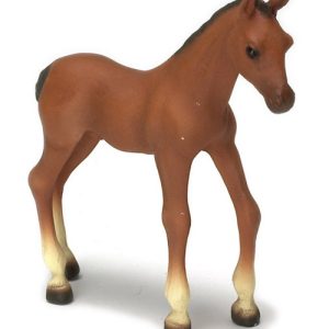 PONY