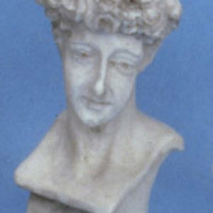DAVID/GREY