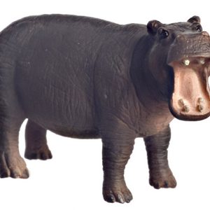 1/2in SCALE HIPPOPOTAMUS