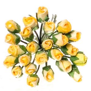 ROSES/HALF-BLOOM/L.YEL/2d