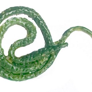 TREE SNAKE
