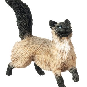 WALKING SIAMESE CAT