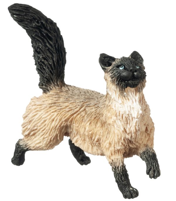 WALKING SIAMESE CAT