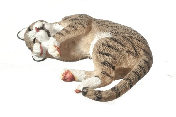 SLEEPING CAT