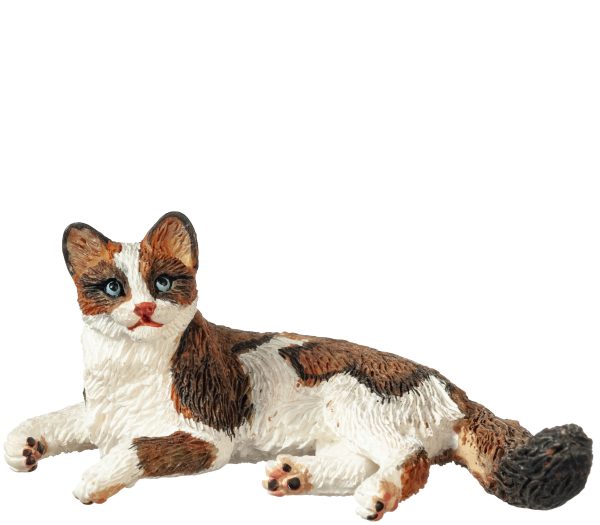 LAYING CAT