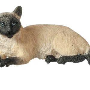 LAYING SIAMESE CAT