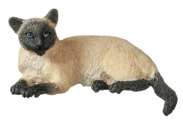 LAYING SIAMESE CAT