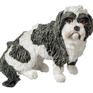 LHASO APSO