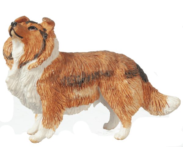 SHELTIE