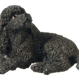 BLACK POODLE