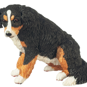 BERNESE MOUNTAIN DOG SIT
