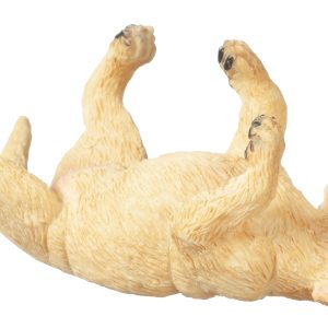 LAB PUPPY ON BACK