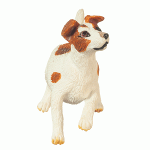 JACK RUSSELL TERRIER
