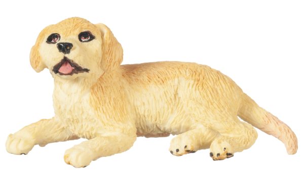 YELLOW LAB PUPPY LAYING
