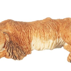 COCKER SPANIEL BUFF
