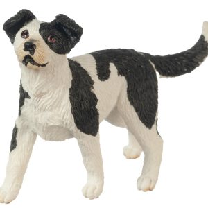 MIXED BREED BLACK/WH