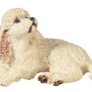MINIATURE POODLE WHITE