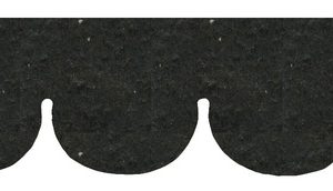 PLN.FISHSC.ASPHALT SHINGL