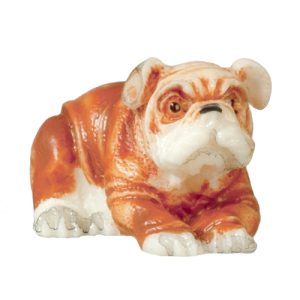 SMALL BULLDOG!