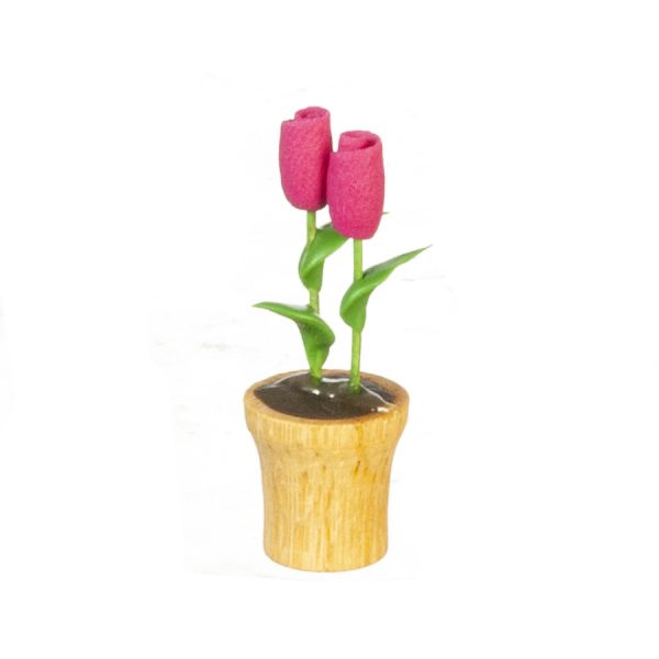 2 ROSES IN POT
