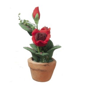 RED ROSES IN POT