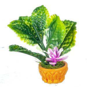 FLOWER IN POT/PURPLE