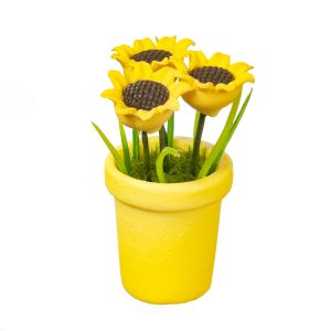 SUNFLOWER IN POT
