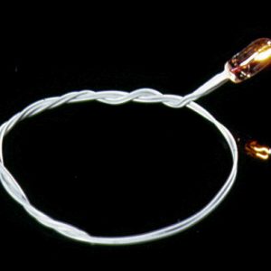 12V GOW BULB/BLACK WIRE