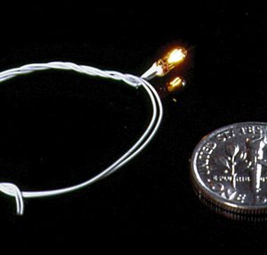 16V GOR BULB/BLK WIRE