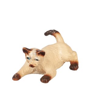 PLAYING CAT/SIAMESE