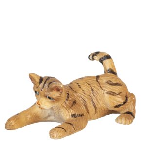 PLAYING CAT/TABBY