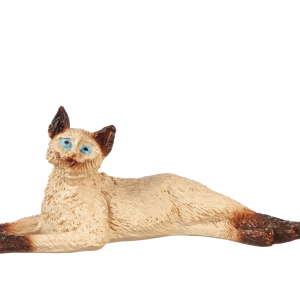 STRETCHED CAT/SIAMESE