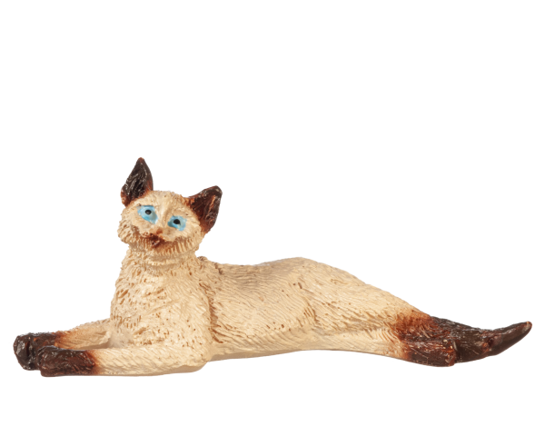 STRETCHED CAT/SIAMESE