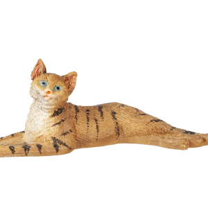 STRETCHED CAT/TABBY