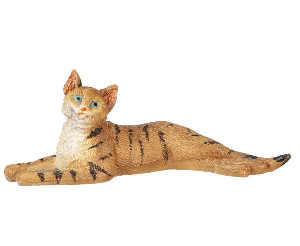 STRETCHED CAT/TABBY