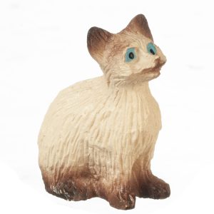 SittingCatEyesOpen/SIAME!