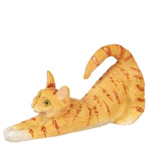 CAT STRETCHING/ORANGE