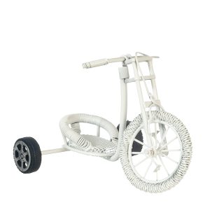 WHITE TRICYCLE