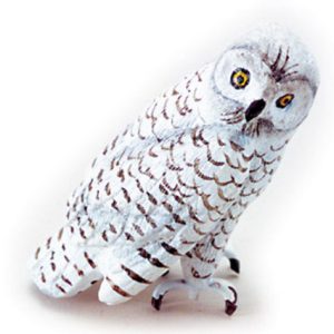 SNOWY OWL