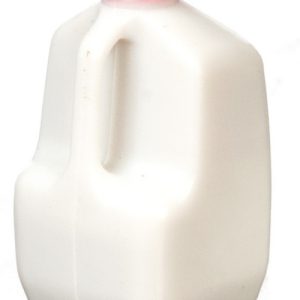 GALLON JUG MILK