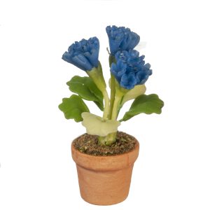 BLUE FLOWERS IN POT