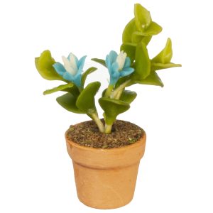 TURQUOISE FLOWERS IN POT