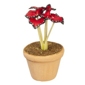 RED POTTED PLANT