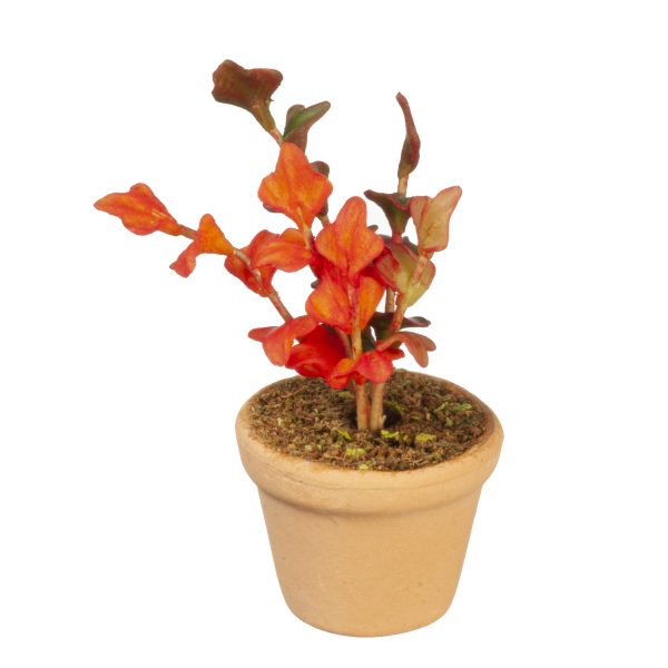 POTTED PLANT