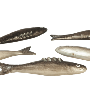 SALMON SET/5