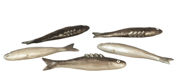 SALMON SET/5